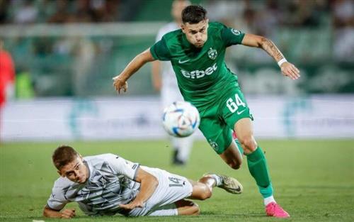 卢布尔雅那奥林匹亚 VS 里尔