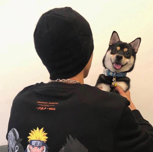 6686体育app官方作者Rafael