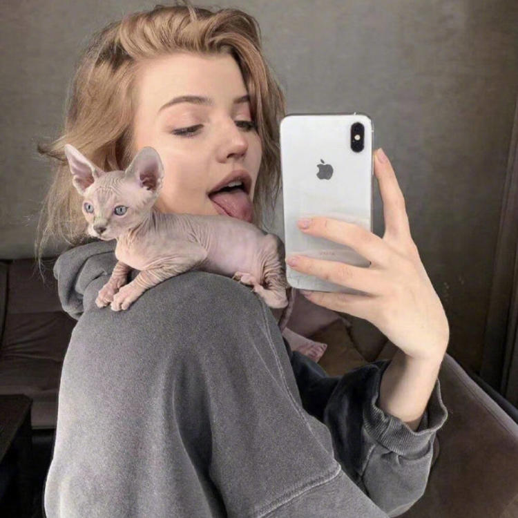 6686体育app铁牌作者Tessa