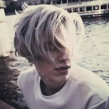 6686体育app铁牌作者城南花已败